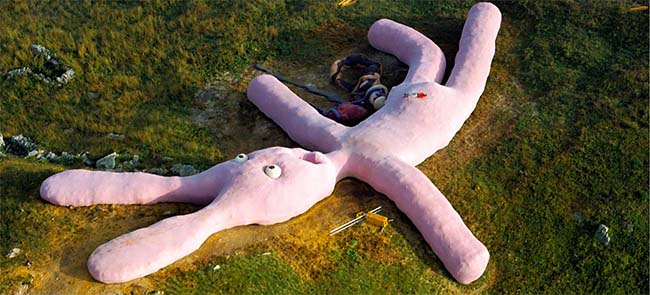 Coniglio Gigante - Pink Rabbit - Colletto Fava - Banner